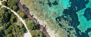Frankfurt - Olbia: private jet charter