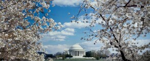 Los Angeles - Washington DC: private jet hire
