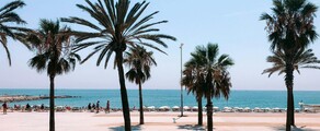 Frankfurt - Barcelona: private jet charter