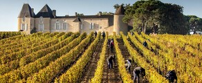 Bordeaux vineyards: helicopter experience