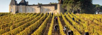 helicoptere vins de bordeaux