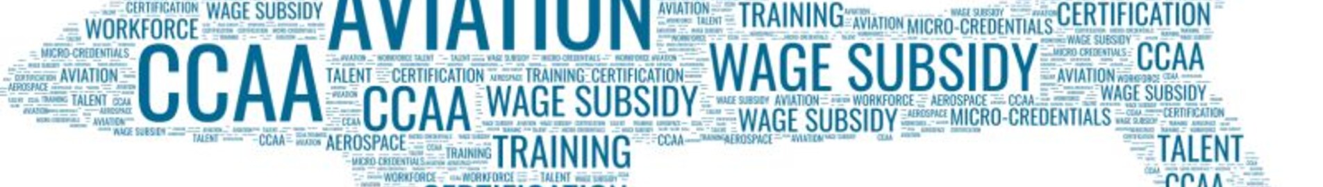 Complete business aviation glossary : AEROAFFAIRES